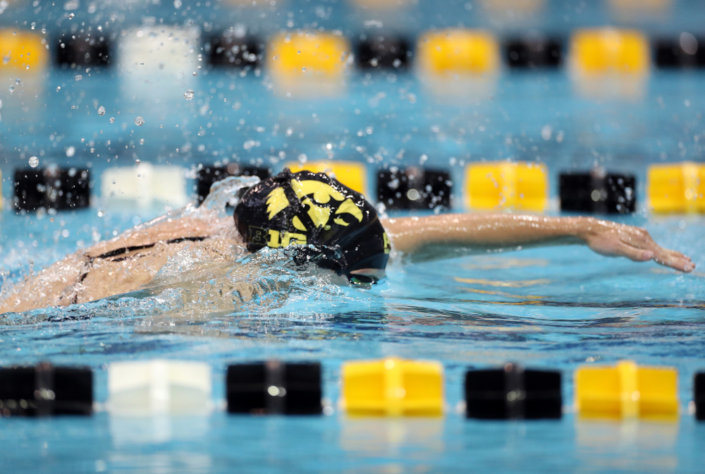 IowaÕs Meghan Hackett swims the 50 yard freestyle against the Michigan Wolverines Friday, November 1, 2019 at the Campus Recreation and Wellness Center. (Brian Ray/hawkeyesports.com)
