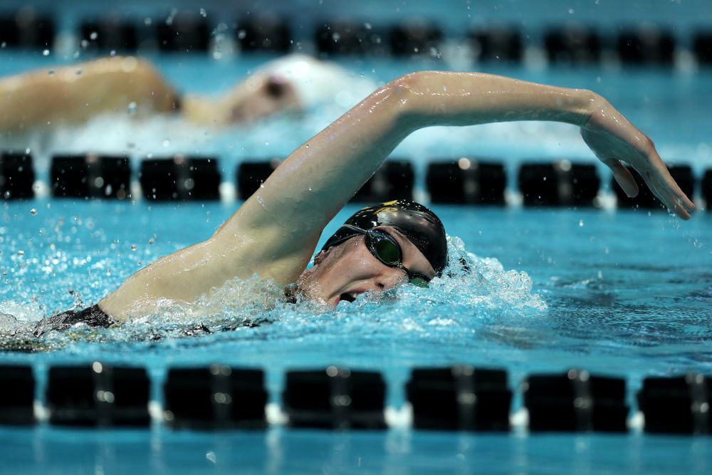 Iowa's Allyssa Fluit swims the 500 yard freestyle Thursday, November 15, 2018 during the 2018 Hawkeye Invitational at the Campus Recreation and Wellness Center. (Brian Ray/hawkeyesports.com)