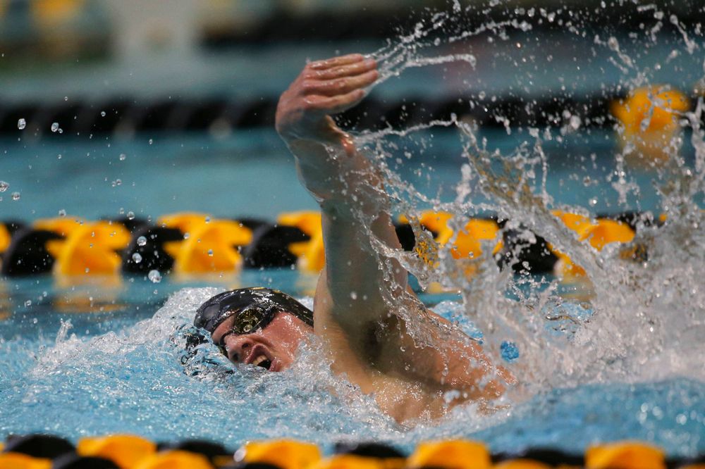 Iowa's Anze Fers Erzan team at the 200-yard backstroke race Saturday, March 2, 2019 at the Campus Recreation and Wellness Center. (Lily Smith/hawkeyesports.com)