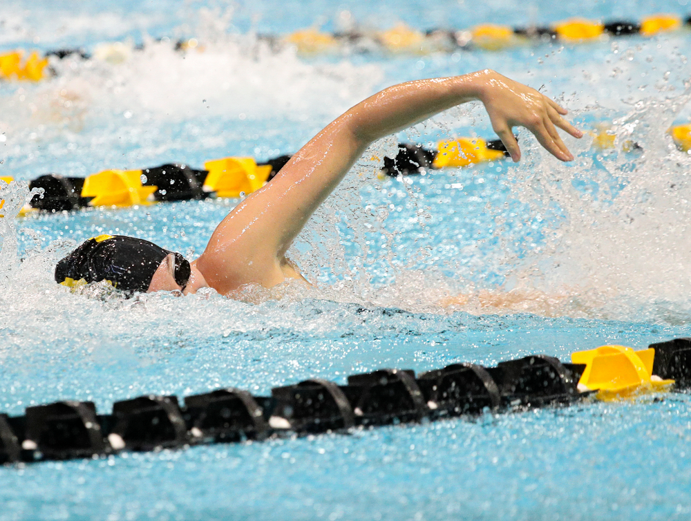 Iowa’s Samantha Sauer swims the women’s 50-yard freestyle event during their meet against Michigan State and Northern Iowa at the Campus Recreation and Wellness Center in Iowa City on Friday, Oct 4, 2019. (Stephen Mally/hawkeyesports.com)