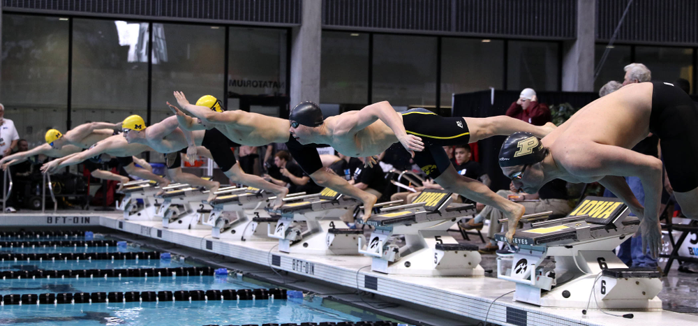 Iowa's Mateusz Arndt swims in the preliminaries of the 500-yard freestyle during the 2019 Big Ten Swimming and Diving Championships Thursday, February 28, 2019 at the Campus Wellness and Recreation Center. (Brian Ray/hawkeyesports.com)