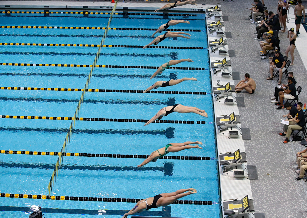 Iowa’s Payton Lange, Macy Rink, and Erin Lang take off in the women’s 200-yard freestyle event during their meet against Michigan State and Northern Iowa at the Campus Recreation and Wellness Center in Iowa City on Friday, Oct 4, 2019. (Stephen Mally/hawkeyesports.com)