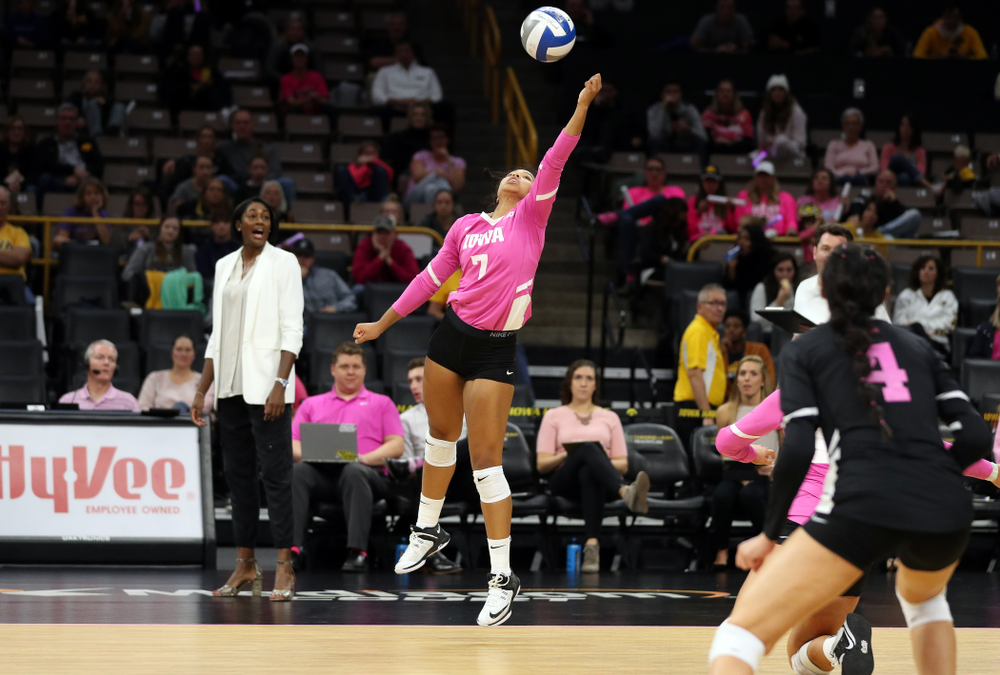 Iowa Hawkeyes setter Brie Orr (7) against the Michigan Wolverines Friday, October 11, 2019 at Carver-Hawkeye Arena.(Brian Ray/hawkeyesports.com)