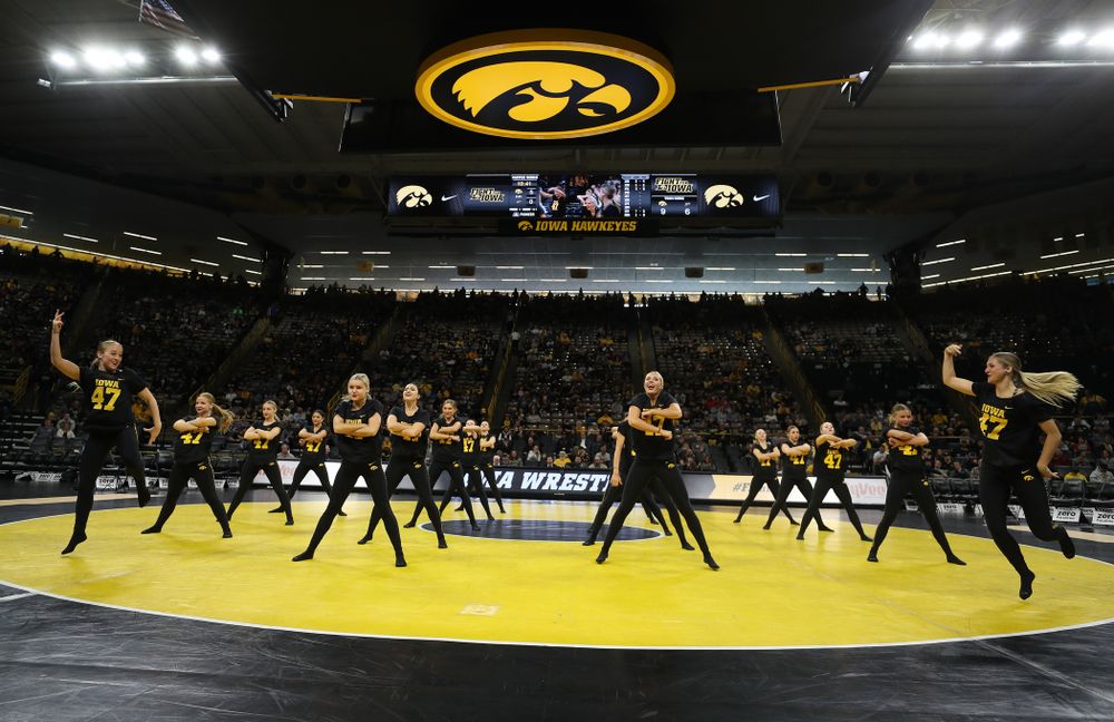 The Iowa Dance Team performs at the intermission of the Iowa Hawkeyes match against Purdue Saturday, November 24, 2018 at Carver-Hawkeye Arena. (Brian Ray/hawkeyesports.com)