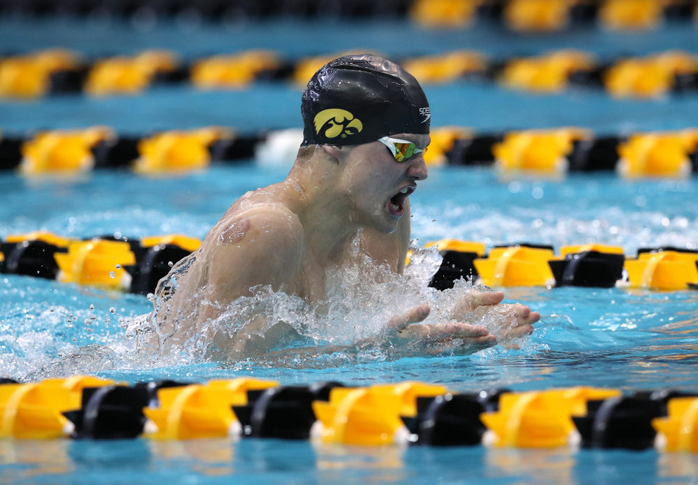 Iowa's Anze Fers Erzen swims in the preliminaries of the 200-yard IM during the 2019 Big Ten Swimming and Diving Championships Thursday, February 28, 2019 at the Campus Wellness and Recreation Center. (Brian Ray/hawkeyesports.com)