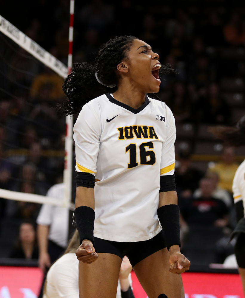 Iowa Hawkeyes outside hitter Taylor Louis (16) against the Ohio State Buckeyes Saturday, November 24, 2018 at Carver-Hawkeye Arena. (Brian Ray/hawkeyesports.com)