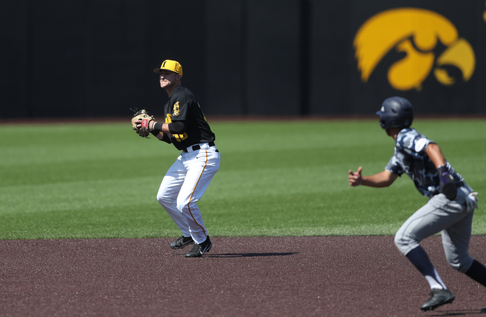 Iowa Hawkeyes Tanner Wetrich (16) during game two against UC Irvine Saturday, May 4, 2019 at Duane Banks Field. (Brian Ray/hawkeyesports.com)