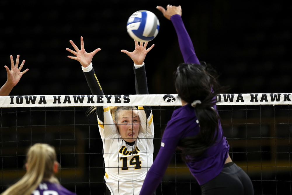Iowa Hawkeyes outside hitter Cali Hoye (14) against the Northwestern Wildcats Wednesday, October 24, 2018 at Carver-Hawkeye Arena. (Brian Ray/hawkeyesports.com)