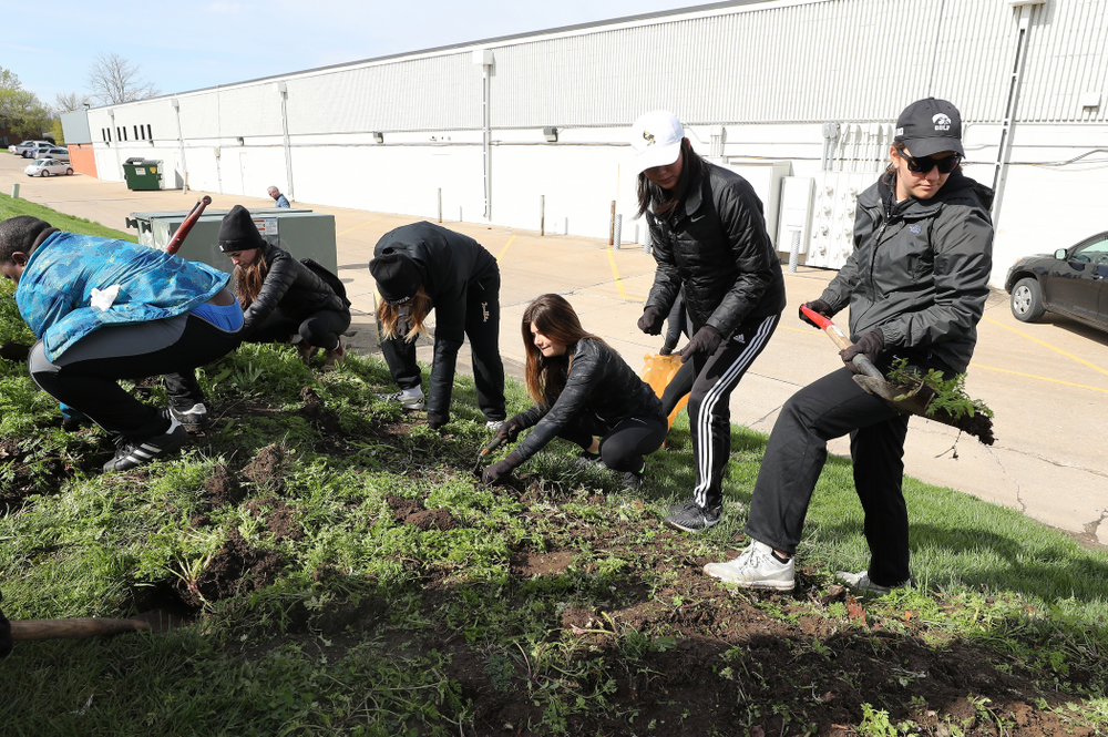 Members of the WomenÕs Golf team volunteer with the South District Neighborhood Clean-up during the annual Iowa Athletics Day of Caring Sunday, April 28, 2019 in Iowa City. (Brian Ray/hawkeyesports.com)