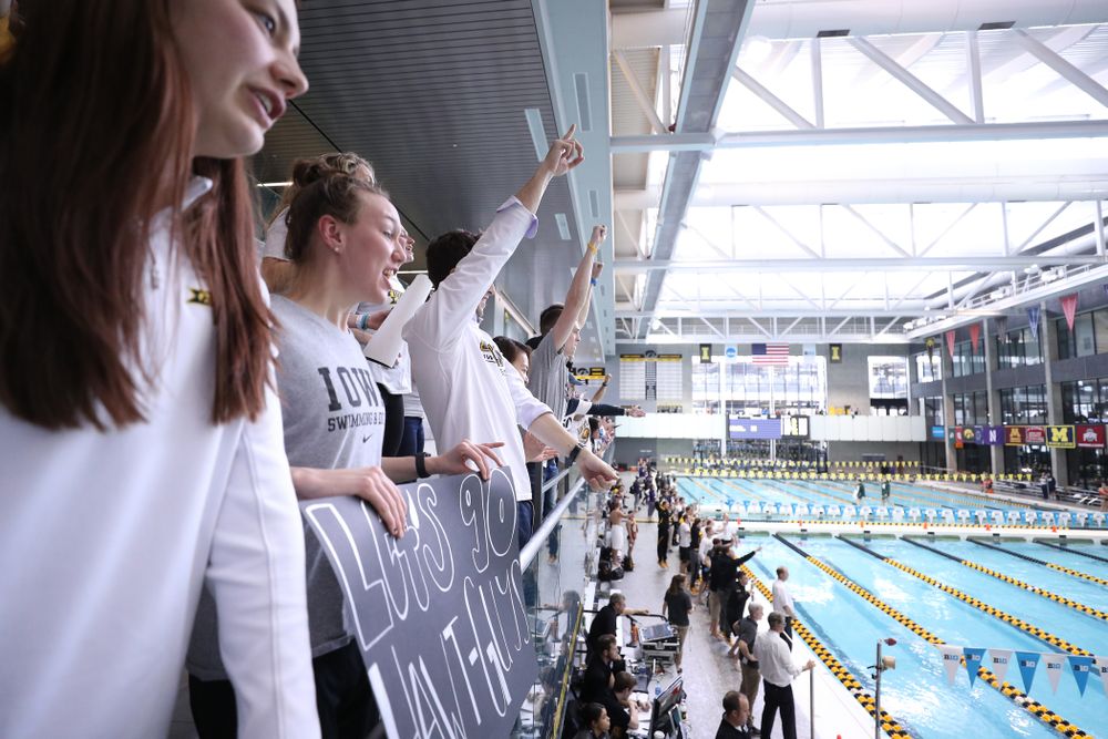 Fans cheer during the 2019 Big Ten Men's Swimming and Diving Championships Saturday, March 2, 2019 at the Campus Wellness and Recreation Center. (Brian Ray/hawkeyesports.com)