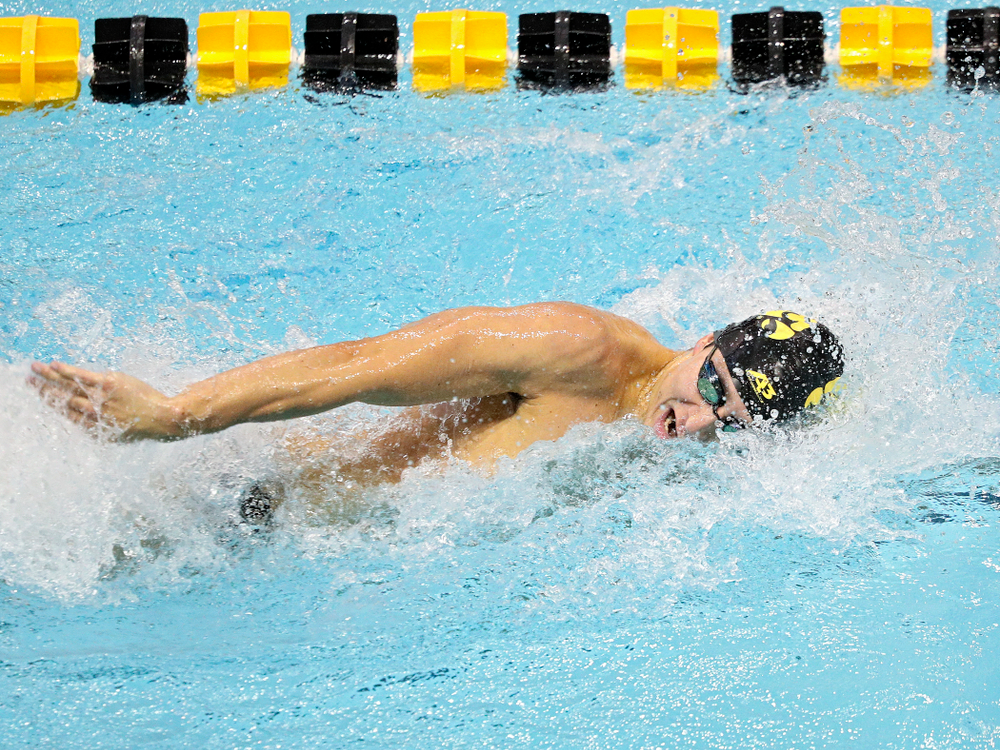 Iowa’s Michael Tenney swims the men’s 200-yard freestyle event during their meet against Michigan State and Northern Iowa at the Campus Recreation and Wellness Center in Iowa City on Friday, Oct 4, 2019. (Stephen Mally/hawkeyesports.com)