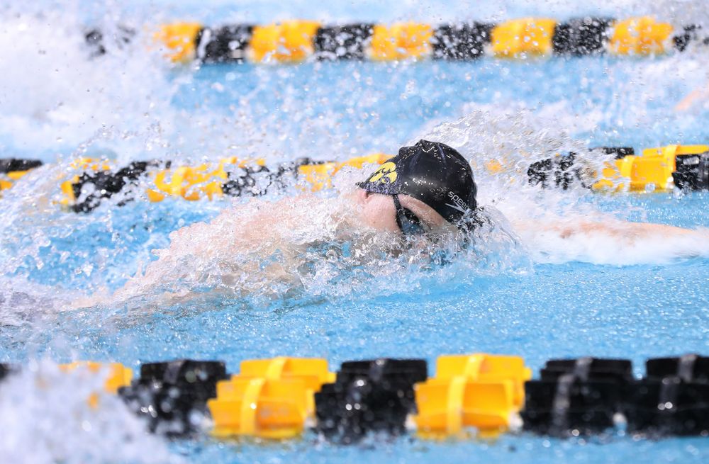 Iowa's Joseph Myhre competes in the 100-yard freestyle during the 2019 Big Ten Men's Swimming and Diving Championships Saturday, March 2, 2019 at the Campus Wellness and Recreation Center. (Brian Ray/hawkeyesports.com)