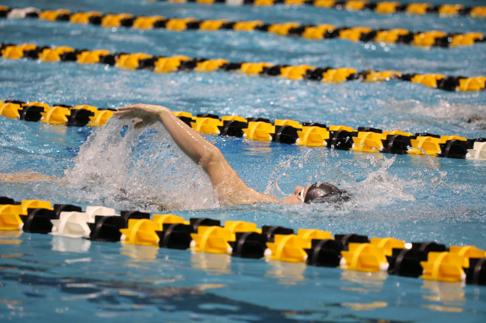 Iowa's Anze Fers Erzan at the 400-yard medley race Friday, March 1, 2019 at the Campus Recreation and Wellness Center. (Lily Smith/hawkeyesports.com)