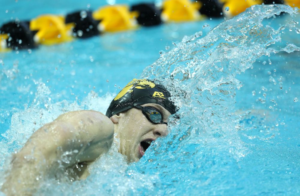 Iowa's Jackson Allmon swims the 500 yard freestyle Thursday, November 15, 2018 during the 2018 Hawkeye Invitational at the Campus Recreation and Wellness Center. (Brian Ray/hawkeyesports.com)