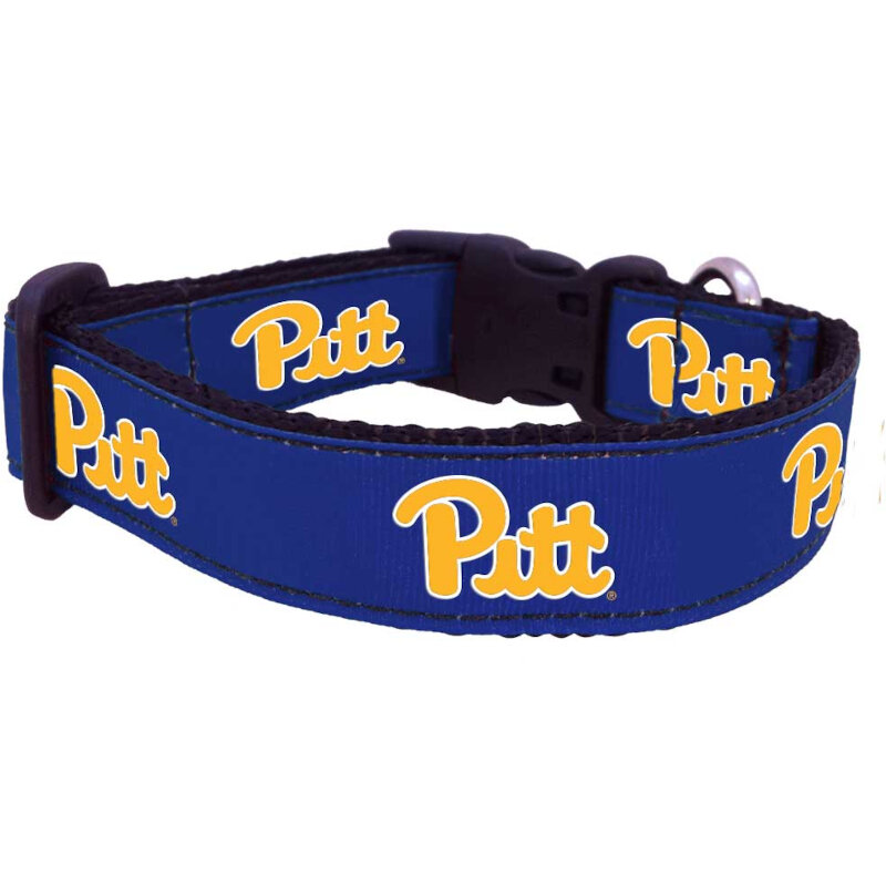 panthers dog collar