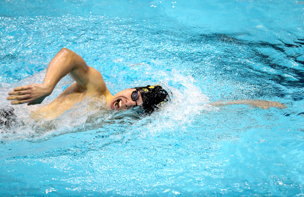 Iowa's Mateusz Arndt swims the 1000 yard freestyle during a double dual against Wisconsin and Northwestern Saturday, January 19, 2019 at the Campus Recreation and Wellness Center. (Brian Ray/hawkeyesports.com)