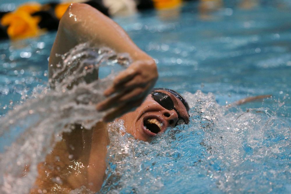 Iowa's B team at the 1,650-yard freestyle race Saturday, March 2, 2019 at the Campus Recreation and Wellness Center. (Lily Smith/hawkeyesports.com)