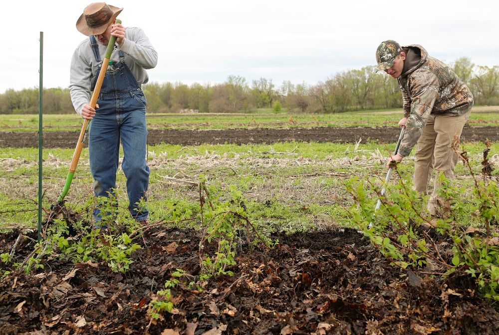 Iowa wrestlers work in the field for Grow: Johnson County at the Johnson County Historic Poor Farm during the 21st annual ISAAC Hawkeye Day of Caring in Iowa City on Sunday, Apr. 28, 2019. (Stephen Mally/hawkeyesports.com)