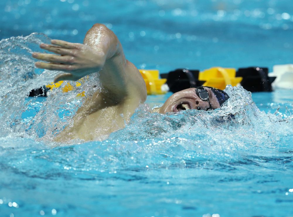 Iowa's Mateusz Arndt swims the 500 yard freestyle Thursday, November 15, 2018 during the 2018 Hawkeye Invitational at the Campus Recreation and Wellness Center. (Brian Ray/hawkeyesports.com)