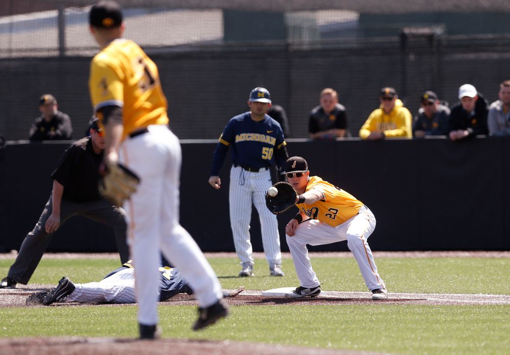 Iowa Hawkeyes catcher Austin Guzzo (20) against the Michigan Wolverines Sunday, April 29, 2018 at Duane Banks Field. (Brian Ray/hawkeyesports.com)
