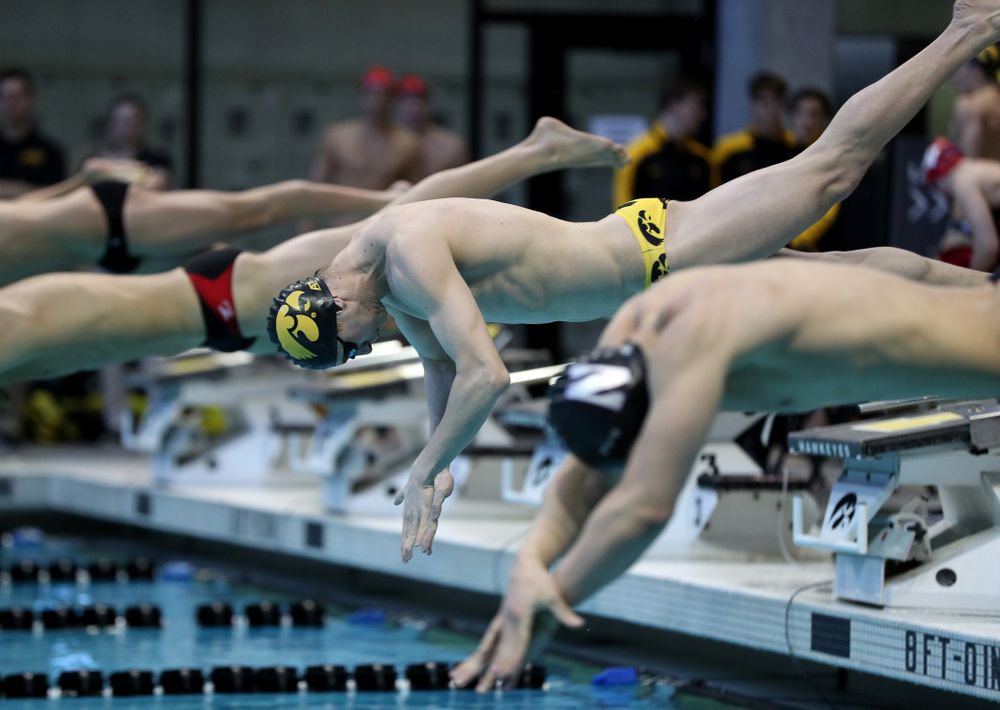 Iowa's Aleksey Tarasenko swims the 200 yard freestyle during a double dual against Wisconsin and Northwestern Saturday, January 19, 2019 at the Campus Recreation and Wellness Center. (Brian Ray/hawkeyesports.com)