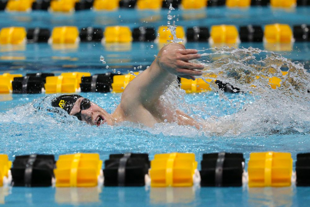 Iowa's B team at the 1,650-yard freestyle race Saturday, March 2, 2019 at the Campus Recreation and Wellness Center. (Lily Smith/hawkeyesports.com)