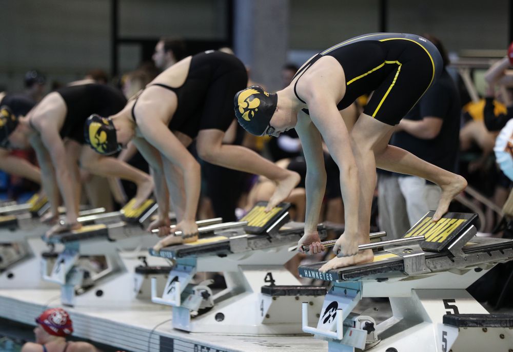 Iowa's Samantha Sauer swims the 50 yard freestyle Thursday, November 15, 2018 during the 2018 Hawkeye Invitational at the Campus Recreation and Wellness Center. (Brian Ray/hawkeyesports.com)