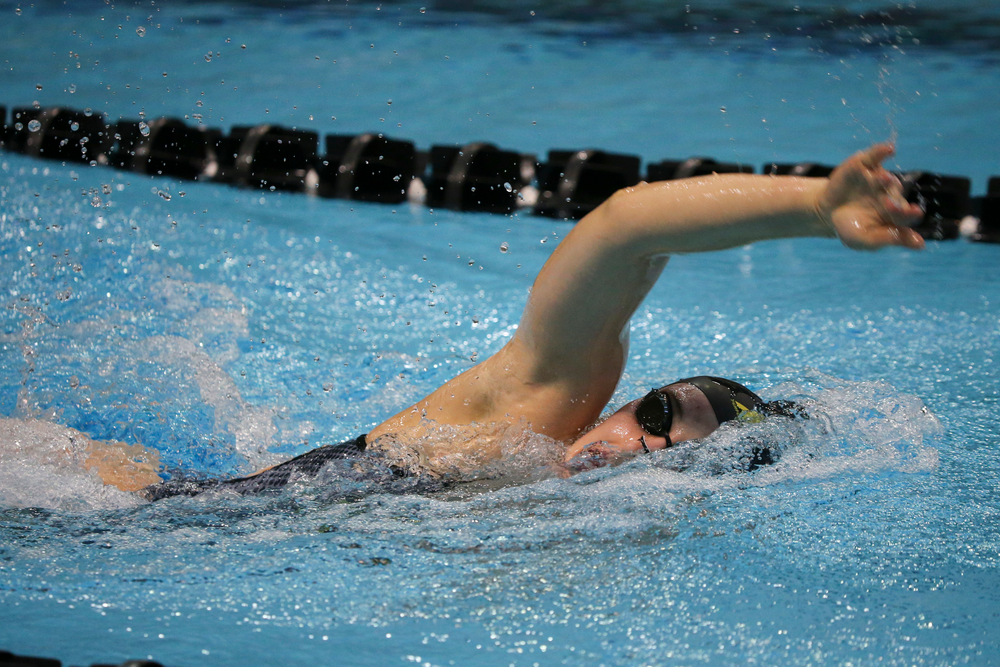 Hannah Burvill during Iowa women’s swimming and diving vs Rutgers on Friday, November 8, 2019 at the Campus Wellness and Recreation Center. (Lily Smith/hawkeyesports.com)
