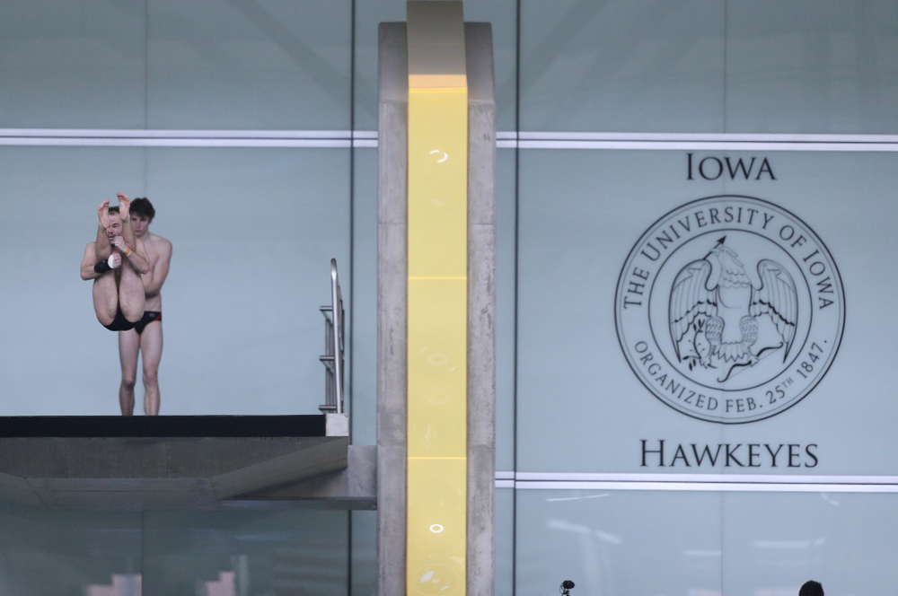 Iowa's Anton Hoherz competes on the platform during the 2019 Big Ten Men's Swimming and Diving Championships Saturday, March 2, 2019 at the Campus Wellness and Recreation Center. (Brian Ray/hawkeyesports.com)