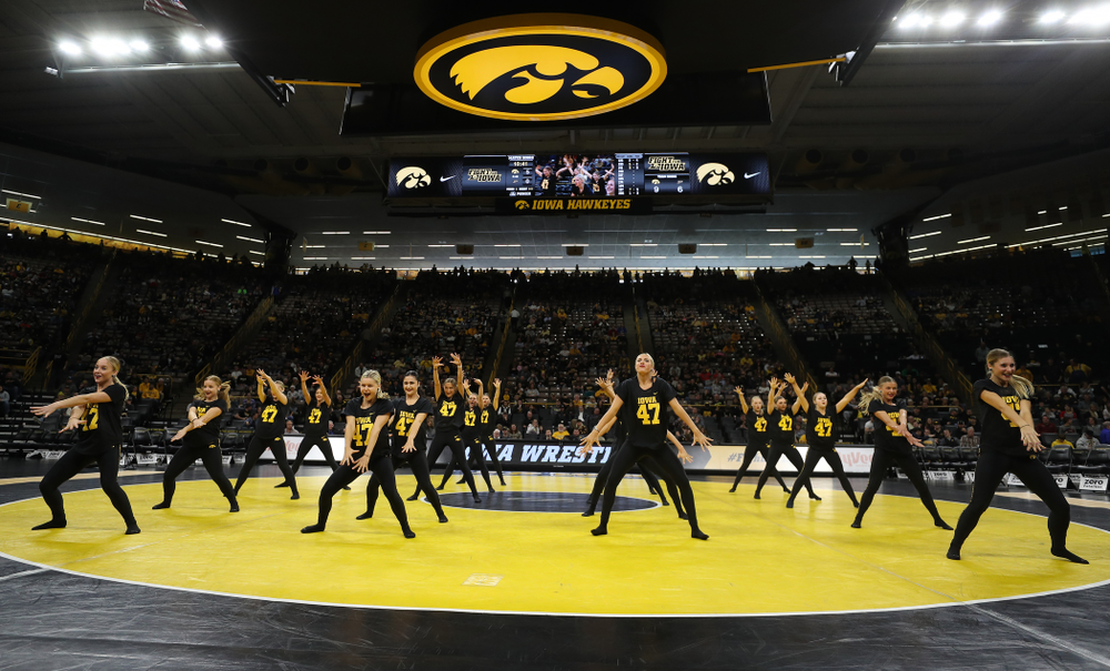 The Iowa Dance Team performs at the intermission of the Iowa Hawkeyes match against Purdue Saturday, November 24, 2018 at Carver-Hawkeye Arena. (Brian Ray/hawkeyesports.com)