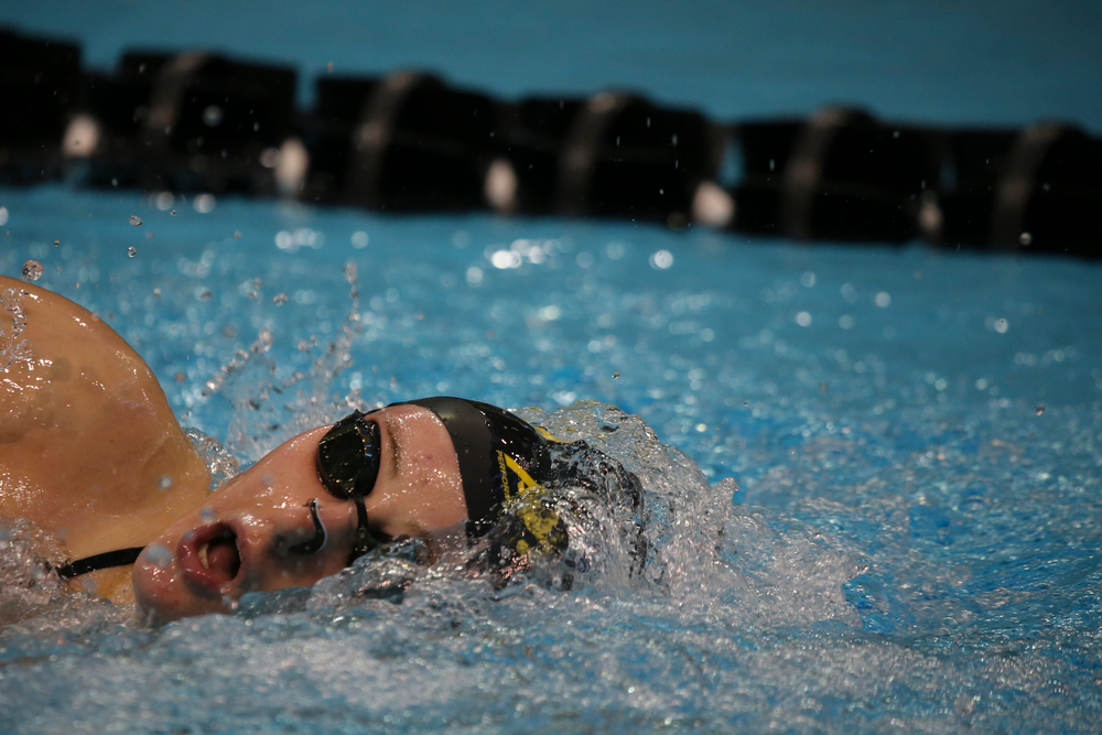 Hannah Burvill during Iowa women’s swimming and diving vs Rutgers on Friday, November 8, 2019 at the Campus Wellness and Recreation Center. (Lily Smith/hawkeyesports.com)