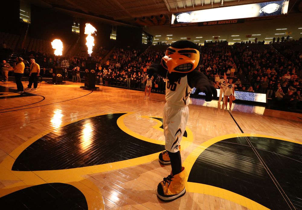 Herky The Hawk against the Michigan Wolverines Thursday, January 17, 2019 at Carver-Hawkeye Arena. (Brian Ray/hawkeyesports.com)