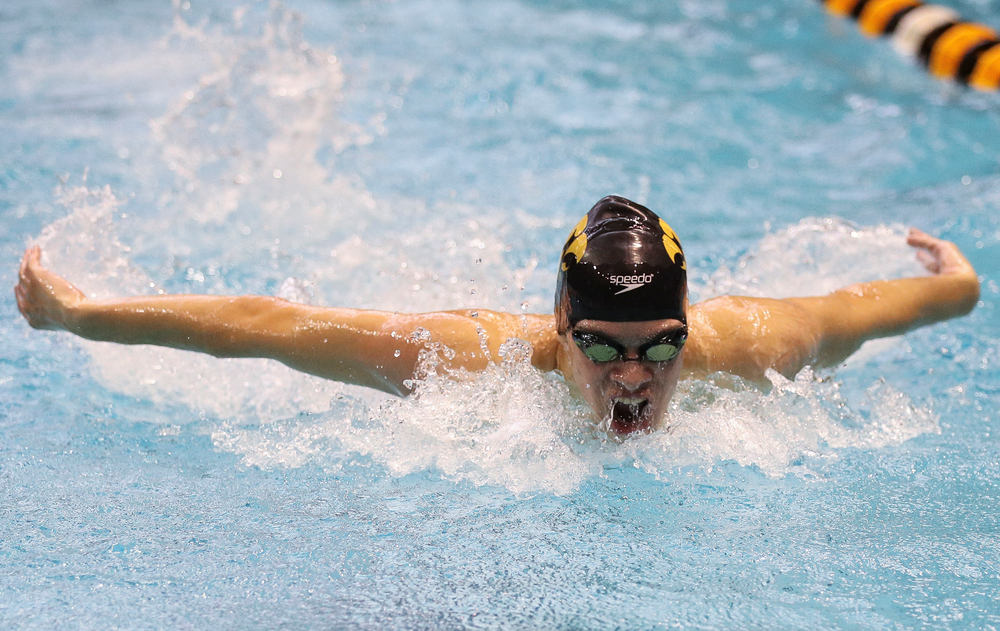 Iowa's Matjaz Rozman competes in the 200-yard butterfly during the third day of the Hawkeye Invitational at the Campus Recreation and Wellness Center on November 17, 2018. (Tork Mason/hawkeyesports.com)