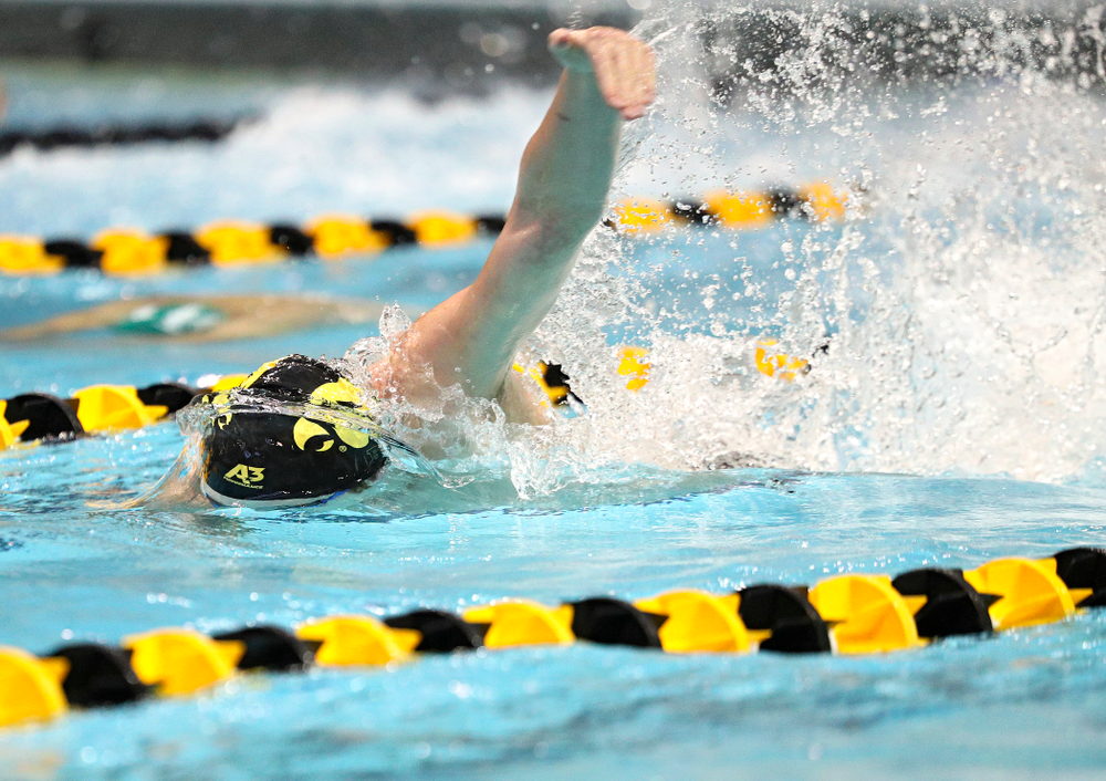 Iowa’s Joe Myhre swims the freestyle section of the men’s 200-yard medley relay event during their meet against Michigan State and Northern Iowa at the Campus Recreation and Wellness Center in Iowa City on Friday, Oct 4, 2019. (Stephen Mally/hawkeyesports.com)