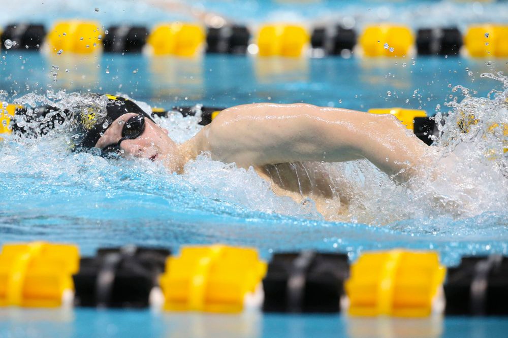 Iowa's B team at the 1,650-yard freestyle race Saturday, March 2, 2019 at the Campus Recreation and Wellness Center. (Lily Smith/hawkeyesports.com)