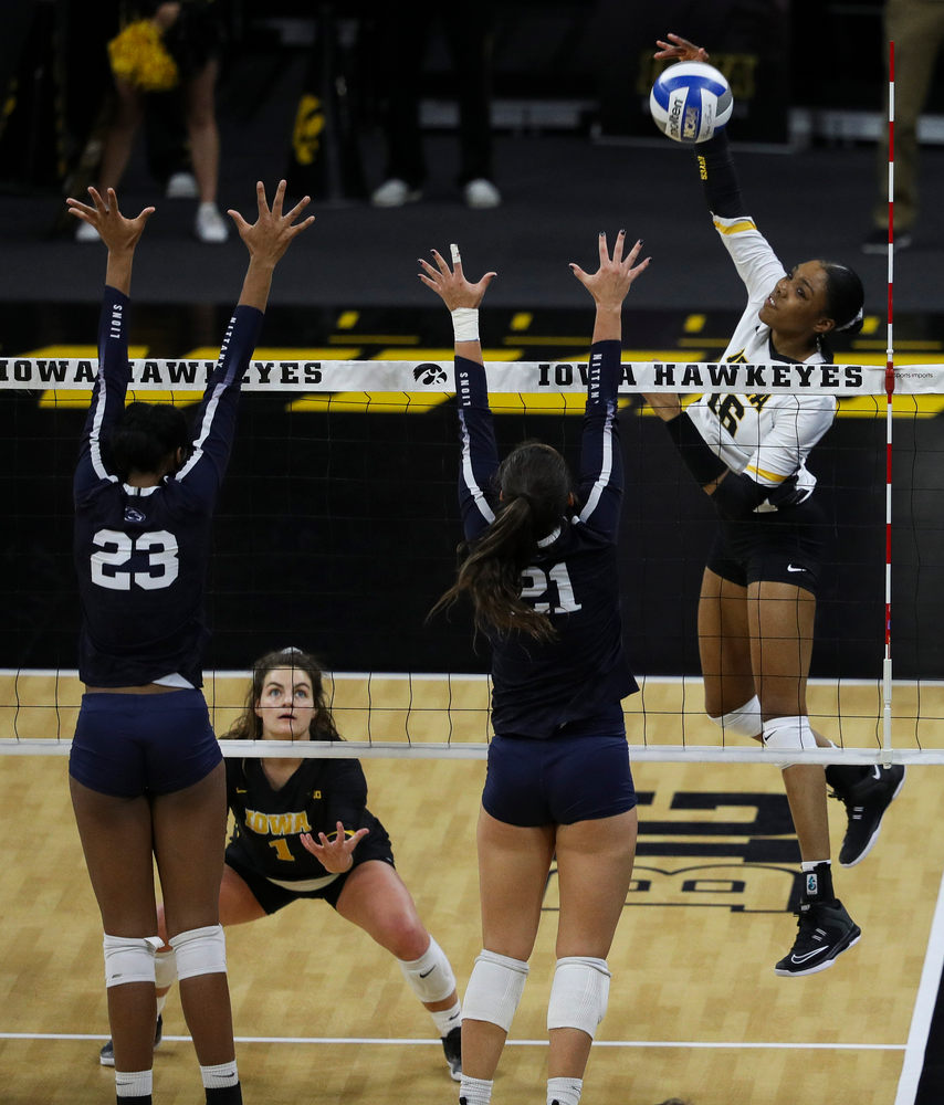 Iowa Hawkeyes outside hitter Taylor Louis (16) spikes the ball during a match against Penn State at Carver-Hawkeye Arena on November 3, 2018. (Tork Mason/hawkeyesports.com)