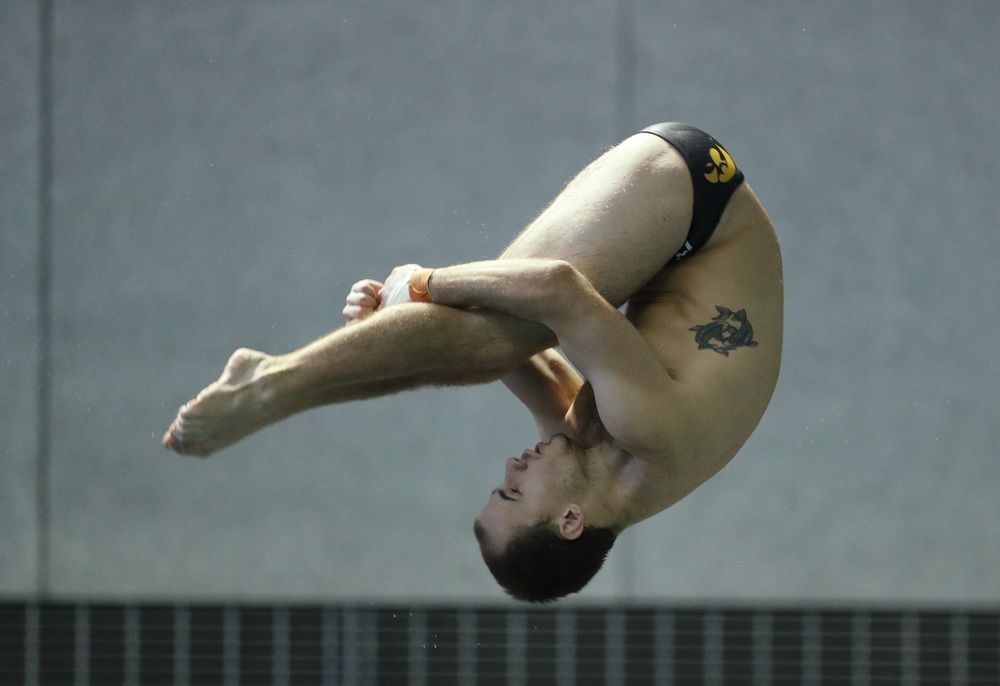 Anton Hoherz competes on the 3 meter board Thursday, November 15, 2018 during the 2018 Hawkeye Invitational at the Campus Recreation and Wellness Center. (Brian Ray/hawkeyesports.com)
