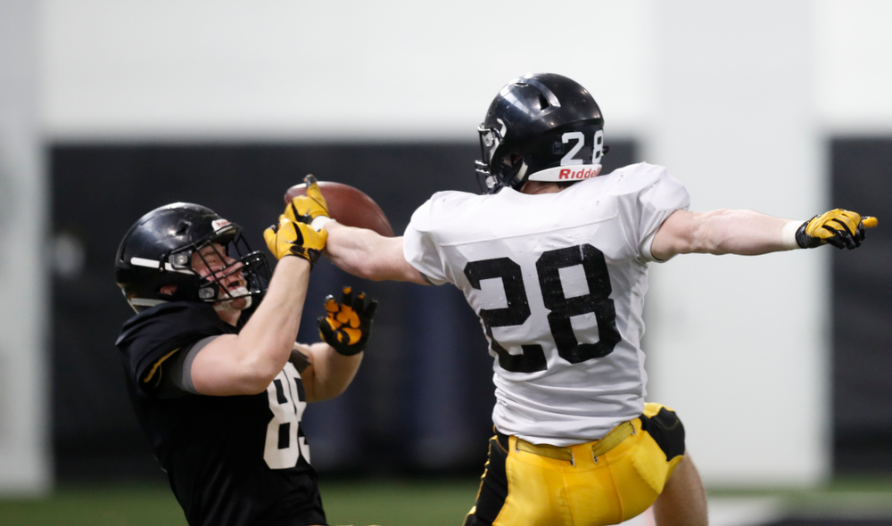 Iowa Hawkeyes tight end Nate Vejvoda (85) and defensive back Jack Koerner (28) during spring practice Thursday, March 29, 2018 at the Hansen Football Performance Center. (Brian Ray/hawkeyesports.com)