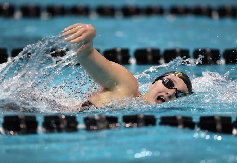 Iowa's Taylor Hartley swims the 500 yard freestyle Thursday, November 15, 2018 during the 2018 Hawkeye Invitational at the Campus Recreation and Wellness Center. (Brian Ray/hawkeyesports.com)