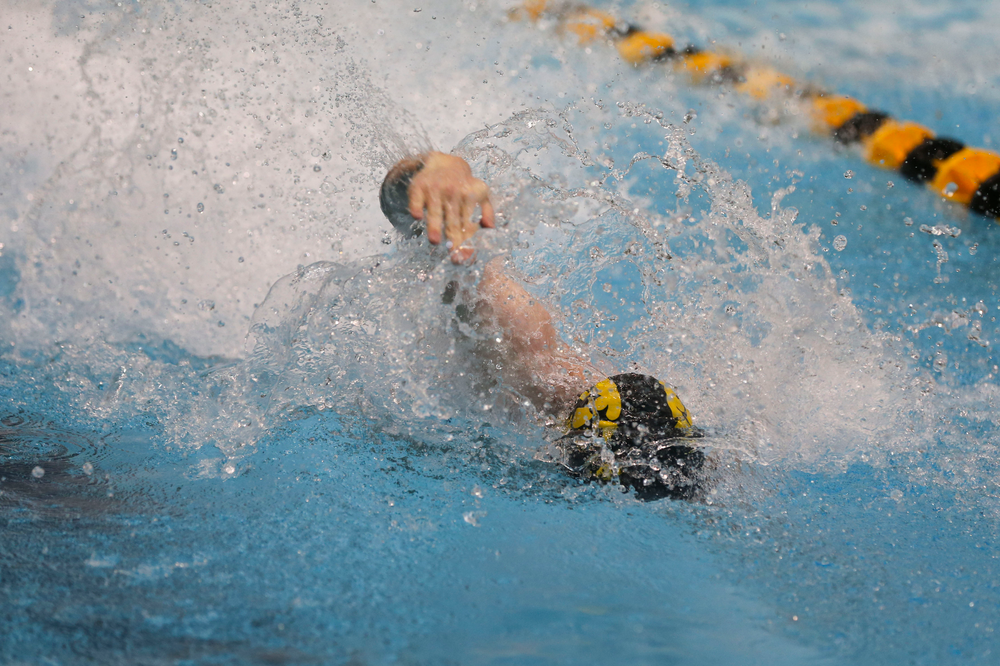 Iowa’s Sam Dumford during Iowa swim and dive vs Minnesota on Saturday, October 26, 2019 at the Campus Wellness and Recreation Center. (Lily Smith/hawkeyesports.com)