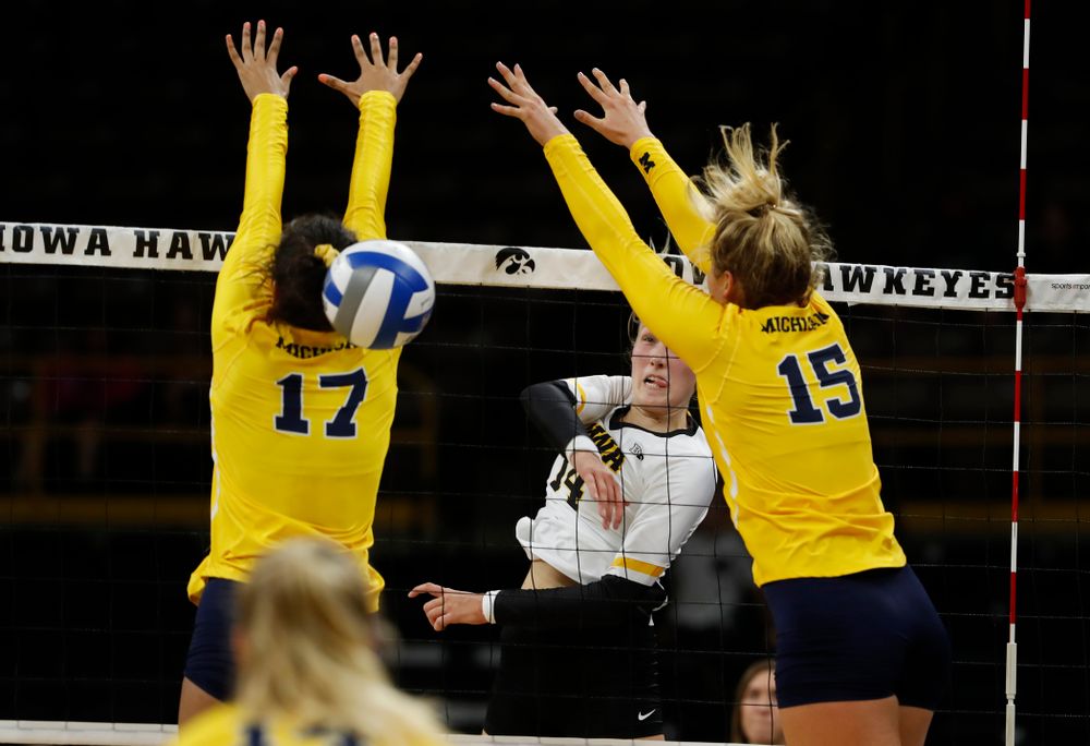 Iowa Hawkeyes outside hitter Cali Hoye (14) against the Michigan Wolverines Sunday, September 23, 2018 at Carver-Hawkeye Arena. (Brian Ray/hawkeyesports.com)