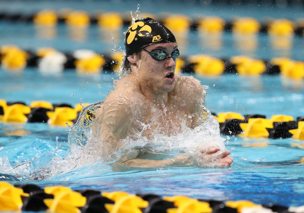 Iowa's Daniel Swanepoel swims the breaststroke leg of the 200 medley relay at the 2019 Big Ten Swimming and Diving meet Wednesday, February 27, 2019 at the Campus Wellness and Recreation Center. (Brian Ray/hawkeyesports.com)