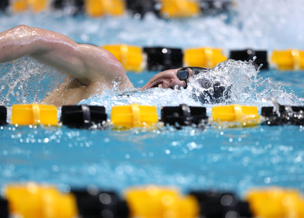 Iowa's Mateusz Arndt swims in the preliminaries of the 500-yard freestyle during the 2019 Big Ten Swimming and Diving Championships Thursday, February 28, 2019 at the Campus Wellness and Recreation Center. (Brian Ray/hawkeyesports.com)
