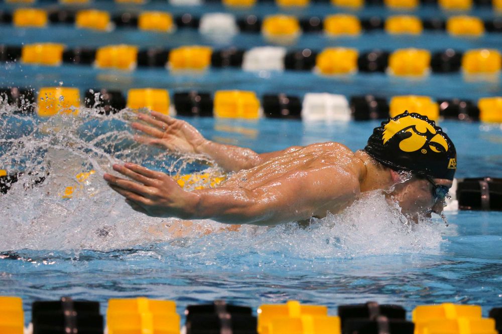 Iowa's Michael Tenney at the 200-yard butterfly race Saturday, March 2, 2019 at the Campus Recreation and Wellness Center. (Lily Smith/hawkeyesports.com)