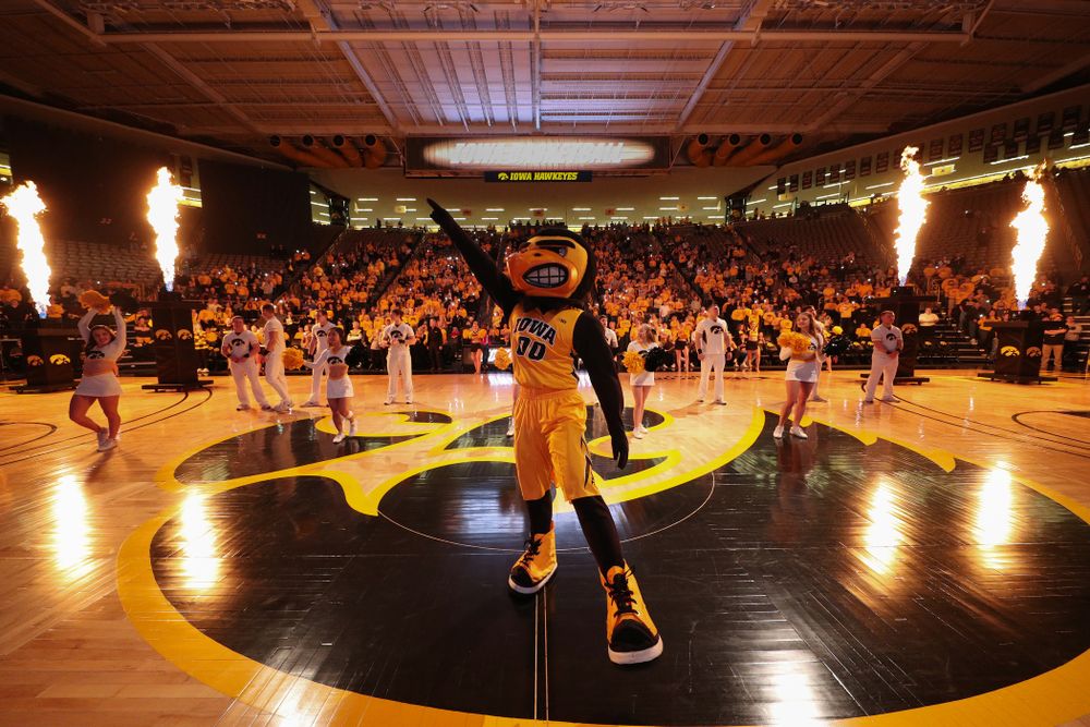 Herky The Hawk against the Maryland Terrapins Thursday, January 9, 2020 at Carver-Hawkeye Arena. (Brian Ray/hawkeyesports.com)