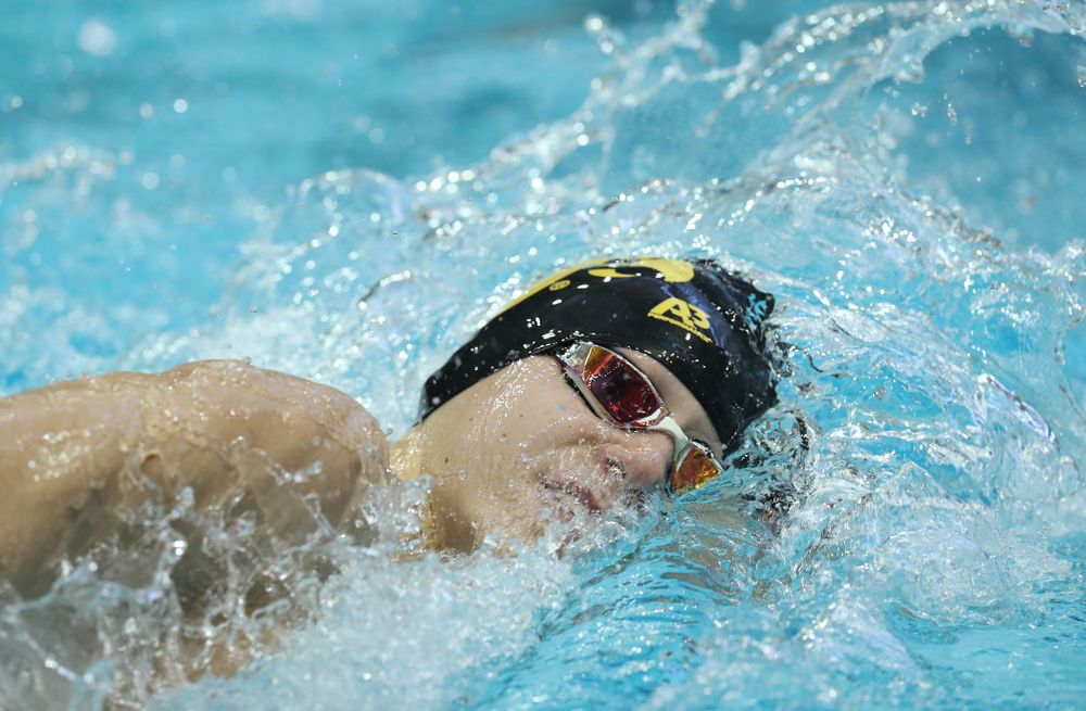 Iowa's Andrew Fierke swims the 500 yard freestyle Thursday, November 15, 2018 during the 2018 Hawkeye Invitational at the Campus Recreation and Wellness Center. (Brian Ray/hawkeyesports.com)