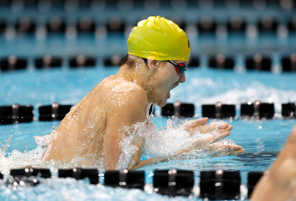 Anze Fers Erzen swims the 200 yard IM during the Black and Gold Intrasquad Saturday, September 29, 2018 at the Campus Recreation and Wellness Center. (Brian Ray/hawkeyesports.com)