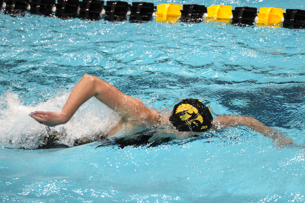 Iowa's Sarah Schemmel swims the freestyle leg of the 200-yard medley relay against the Iowa State Cyclones in the Iowa Corn Cy-Hawk Series Friday, December 7, 2018 at at the Campus Recreation and Wellness Center. (Brian Ray/hawkeyesports.com)