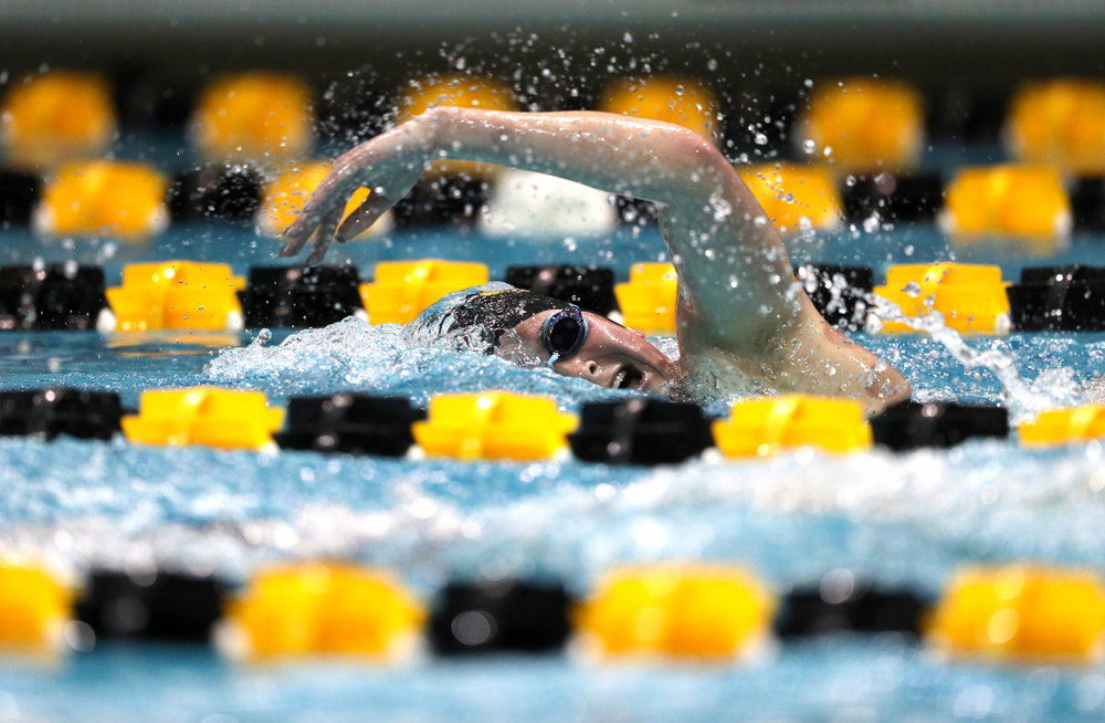 Iowa's Abbey Schneider swims the 500-yard freestyle against the Iowa State Cyclones in the Iowa Corn Cy-Hawk Series Friday, December 7, 2018 at at the Campus Recreation and Wellness Center. (Brian Ray/hawkeyesports.com)