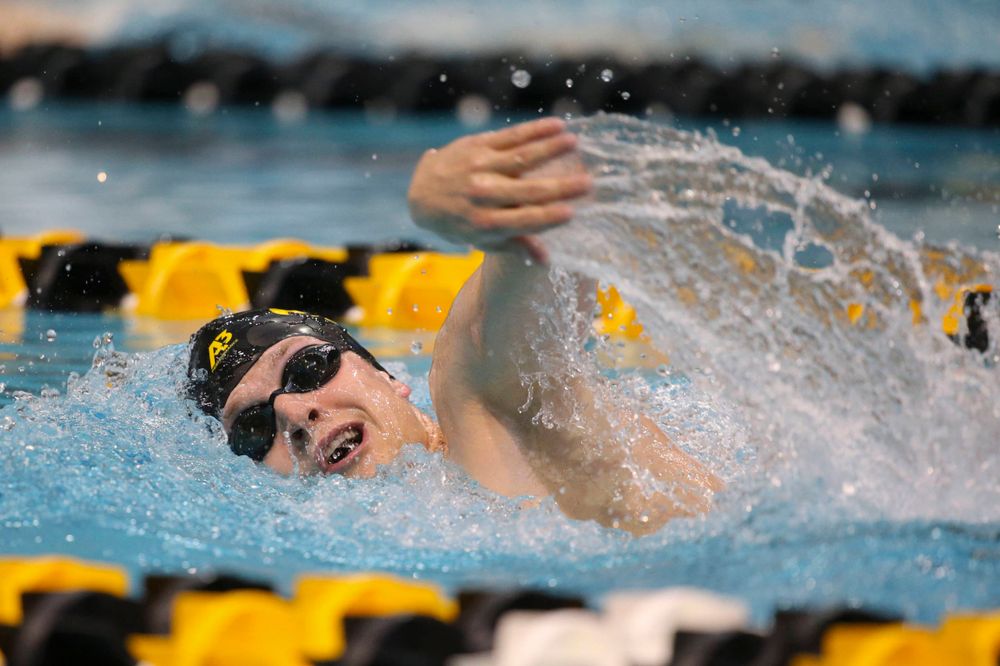 Iowa's B team at the 1,650-yard freestyle race Saturday, March 2, 2019 at the Campus Recreation and Wellness Center. (Lily Smith/hawkeyesports.com)